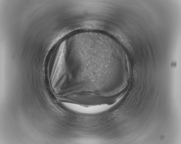 X0000093470488200711021235