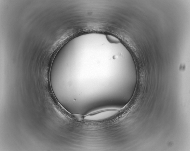 X0000093470489200711021235