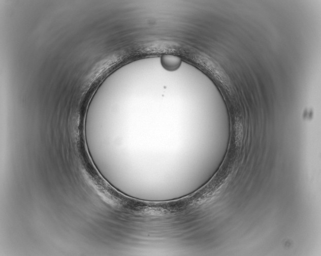 X0000093470490200711021235