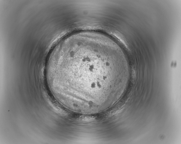 X0000093470491200711021235