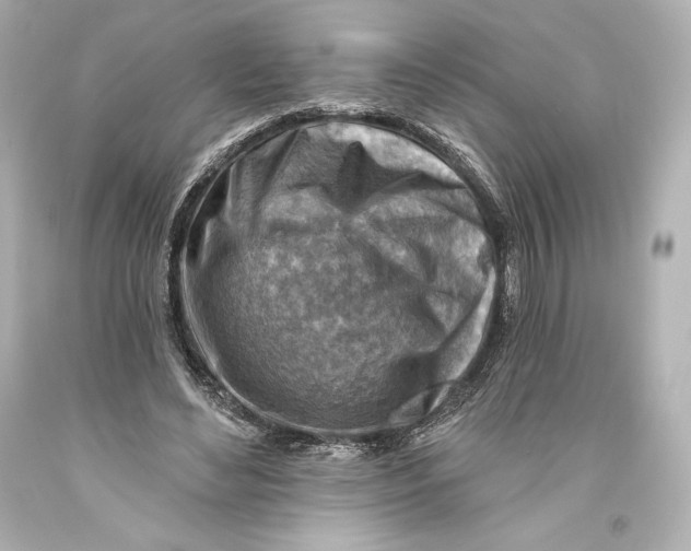 X0000093470492200711021235