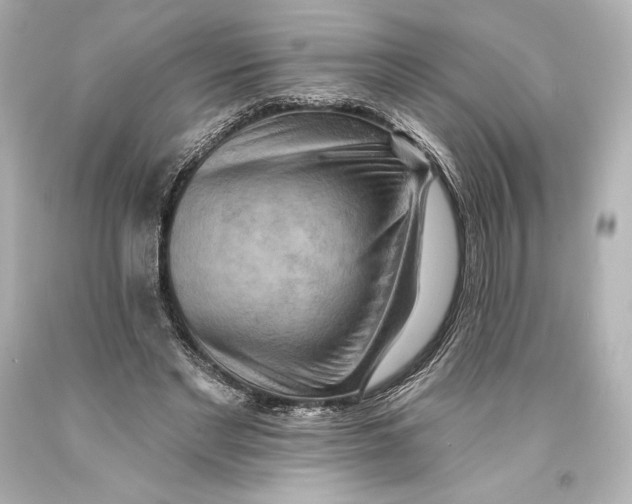 X0000093470493200711021235