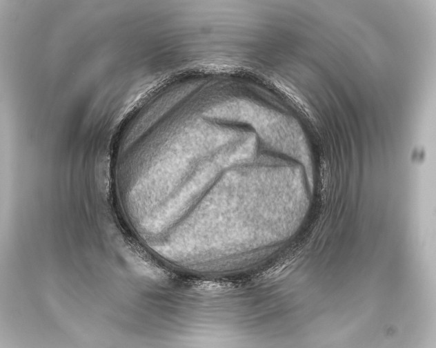 X0000093470494200711021235