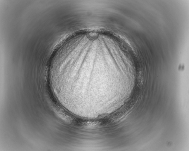 X0000093470495200711021235