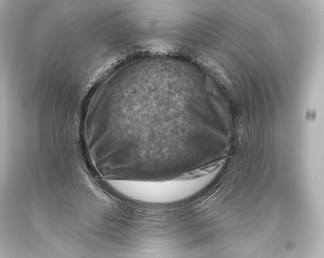 X0000093470496200711021235