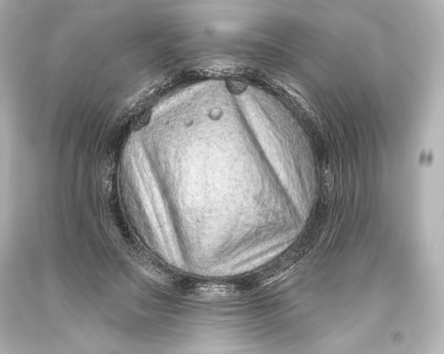 X0000093470499200711021235