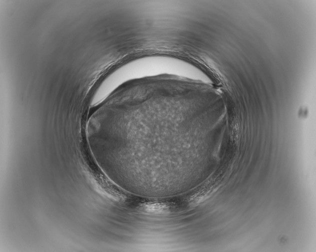 X0000093470500200711021235