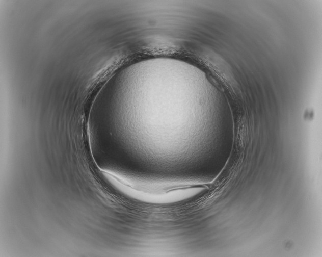 X0000093470501200711021235