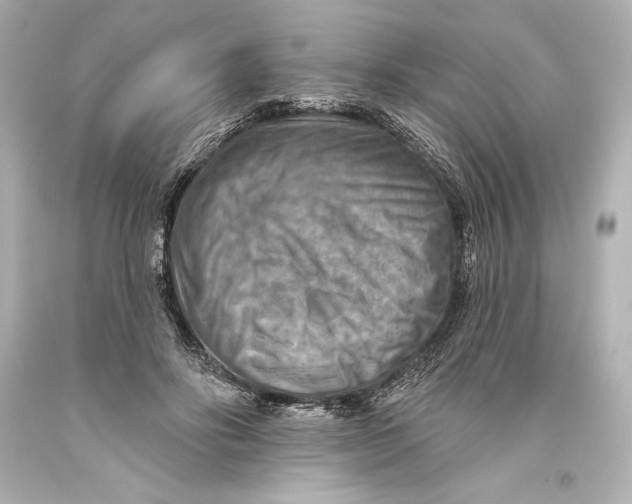 X0000093470502200711021235