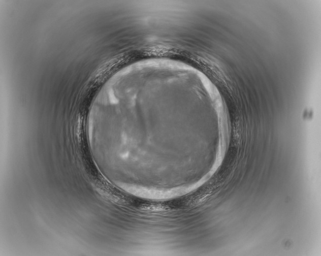 X0000093470503200711021235