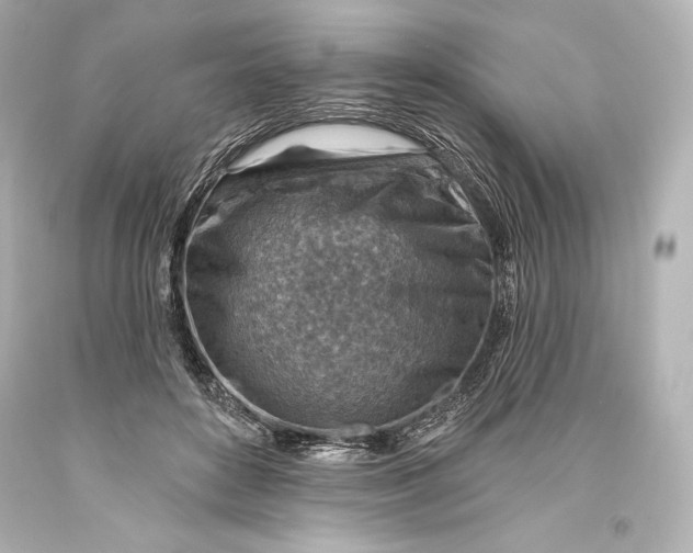 X0000093470504200711021235