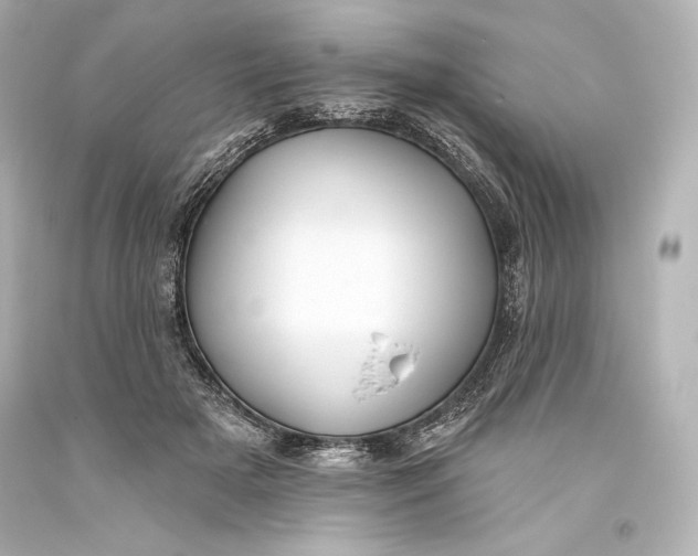 X0000093470505200711021235