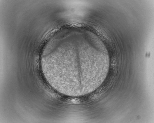 X0000093470506200711021235