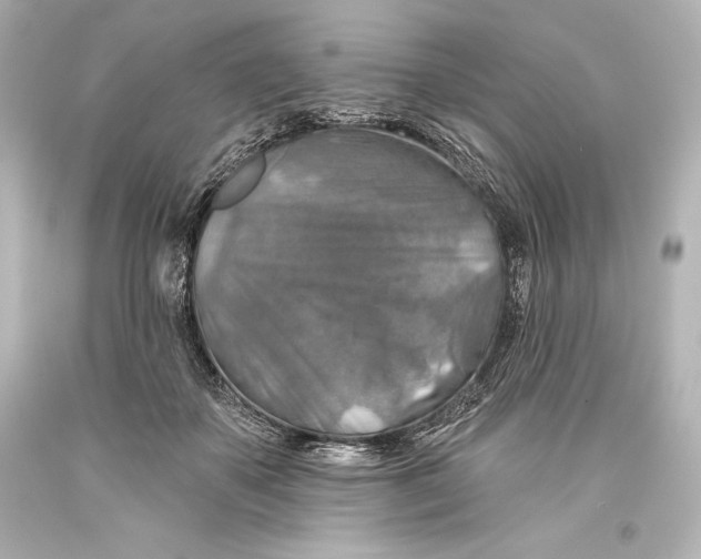 X0000093470507200711021235