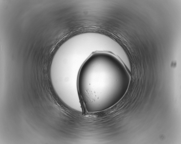 X0000093470508200711021235