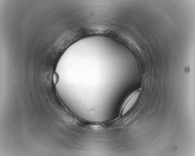 X0000093470509200711021235