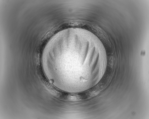 X0000093470510200711021235