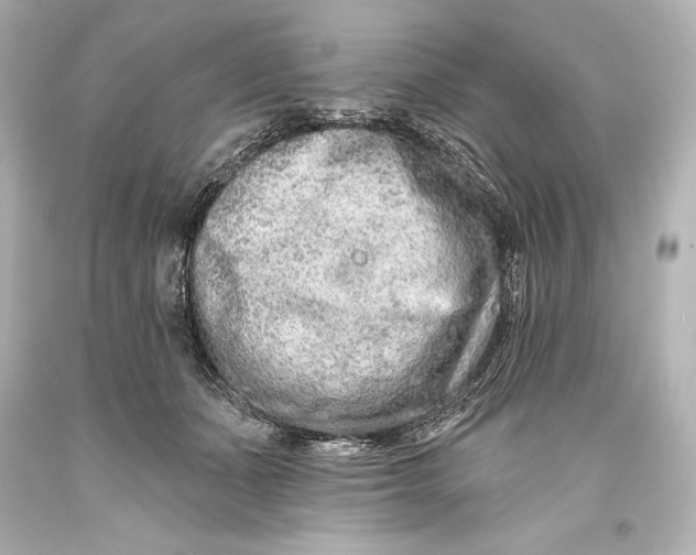 X0000093470511200711021235