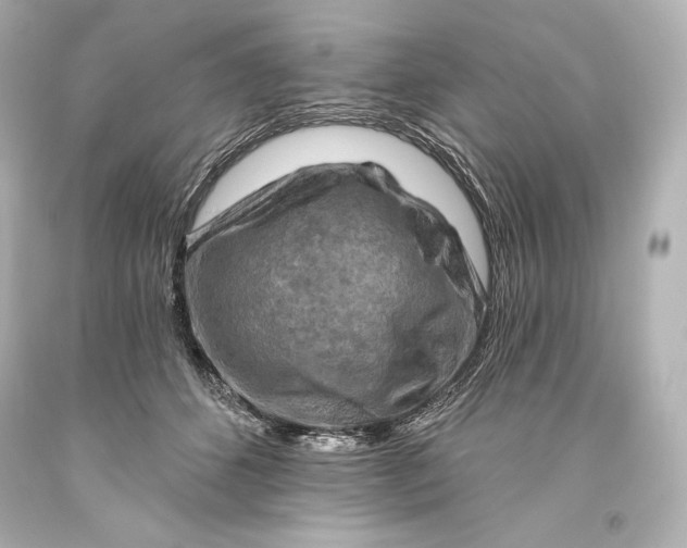 X0000093470512200711021235