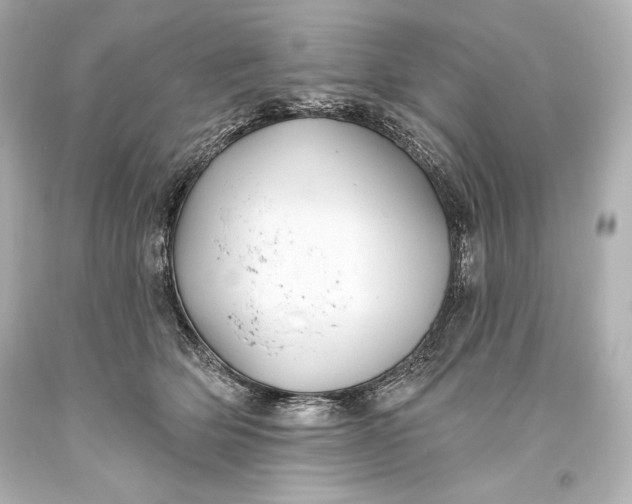 X0000093470514200711021235