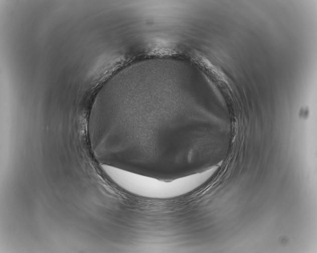 X0000093470517200711021235