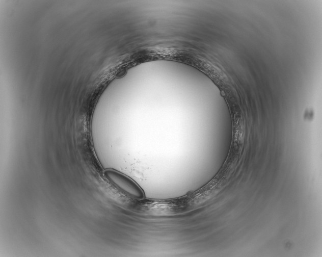 X0000093470518200711021235