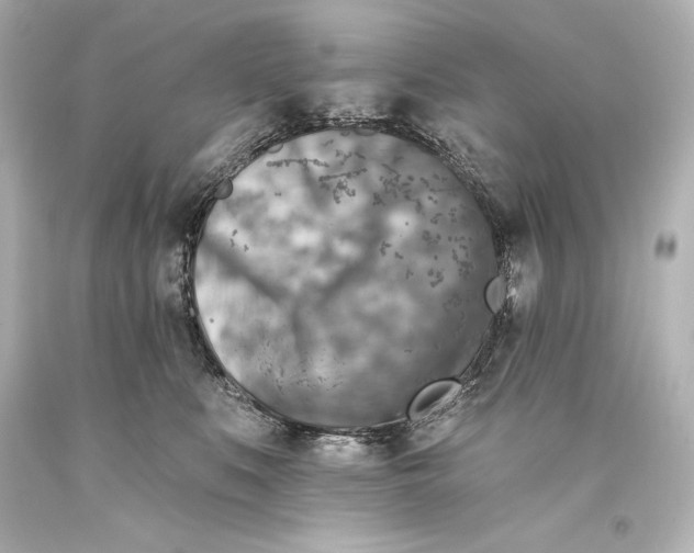 X0000093470519200711021235