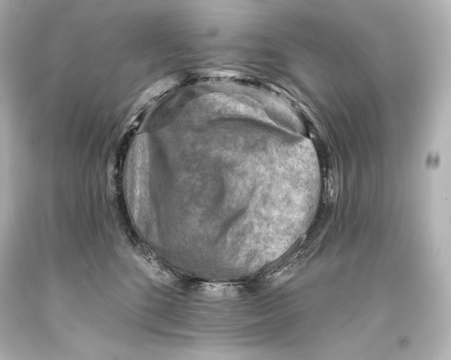 X0000093470520200711021235