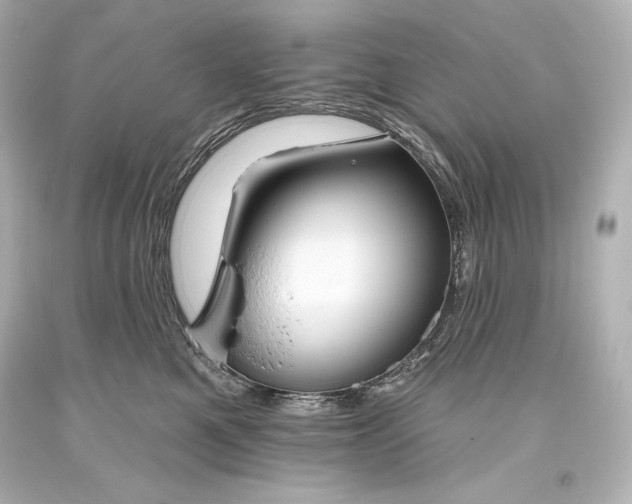 X0000093470521200711021235