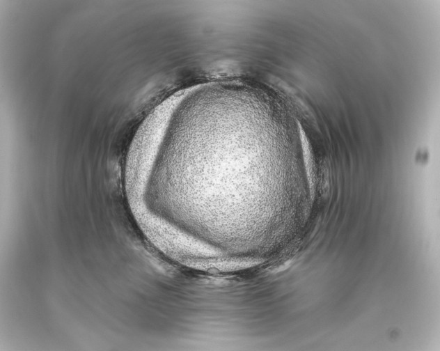 X0000093470523200711021235