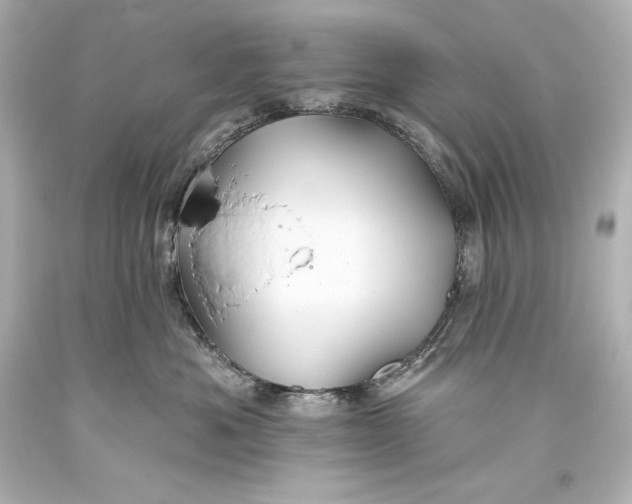 X0000093470525200711021235