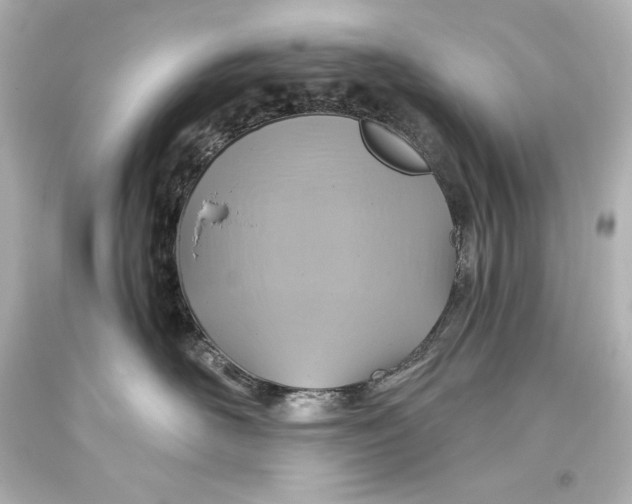 X0000093470526200711021235