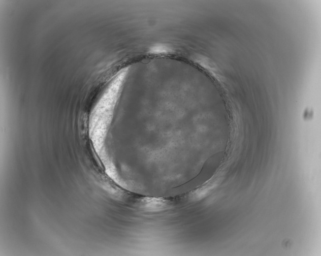 X0000093470528200711021235