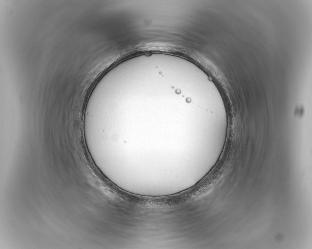 X0000093470529200711021234