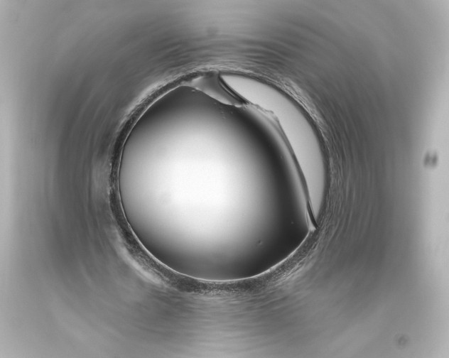 X0000093470530200711021234