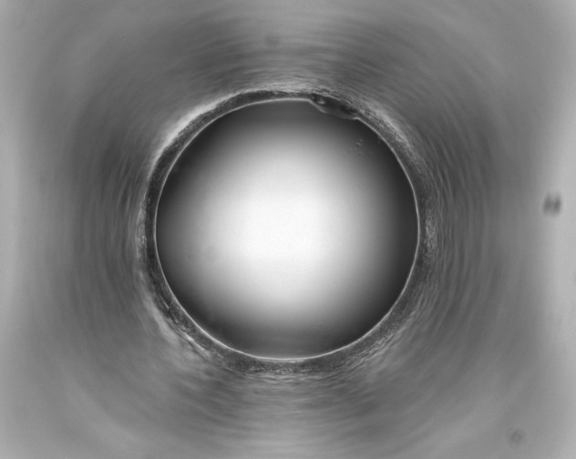 X0000093470532200711021234