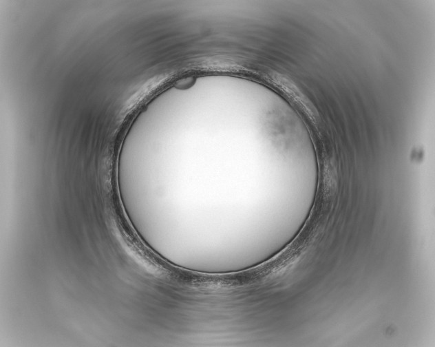 X0000093470533200711021234