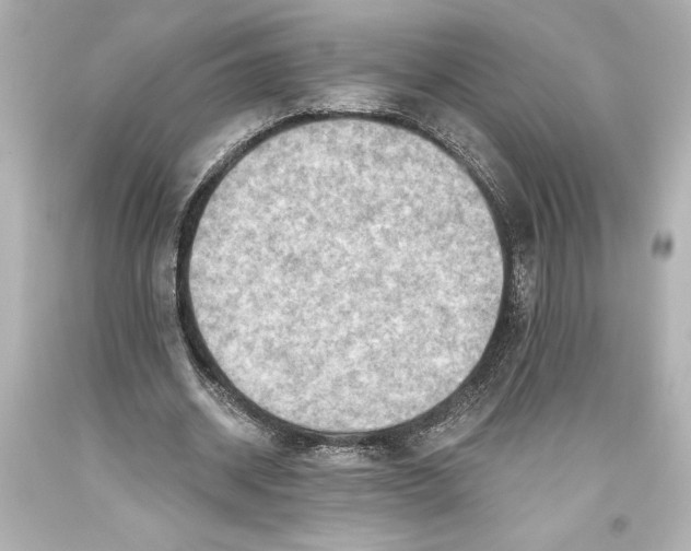 X0000093470534200711021234