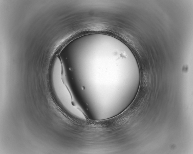 X0000093470535200711021234