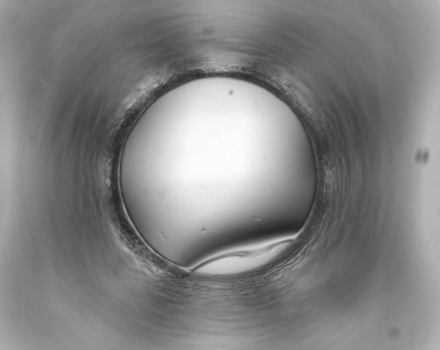 X0000093470539200711021234