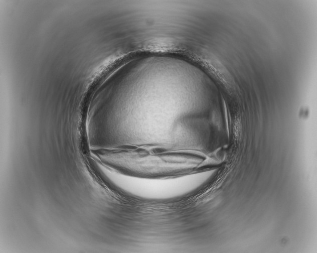 X0000093470540200711021234