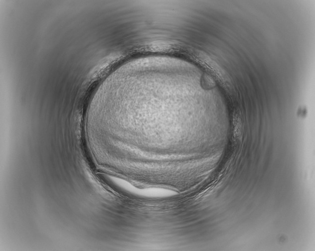 X0000093470542200711021234