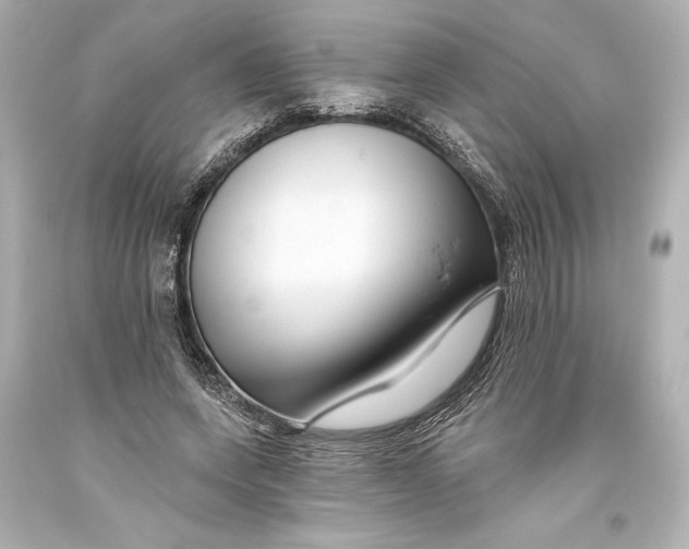 X0000093470543200711021234