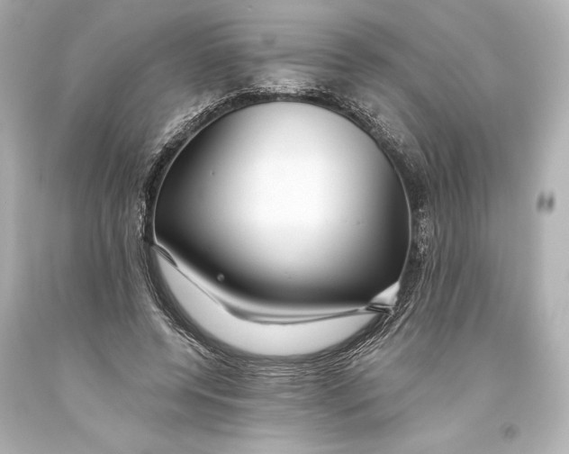 X0000093470544200711021234