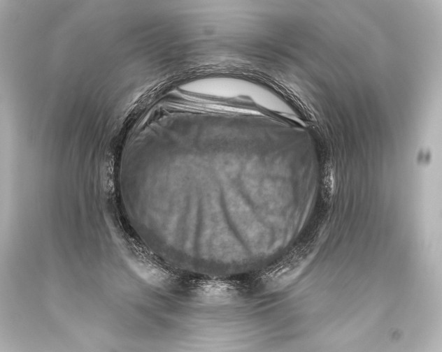 X0000093470547200711021234