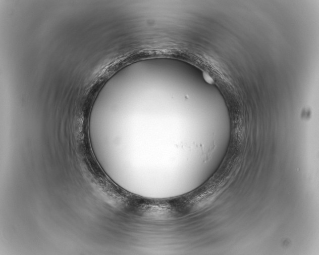 X0000093470548200711021234