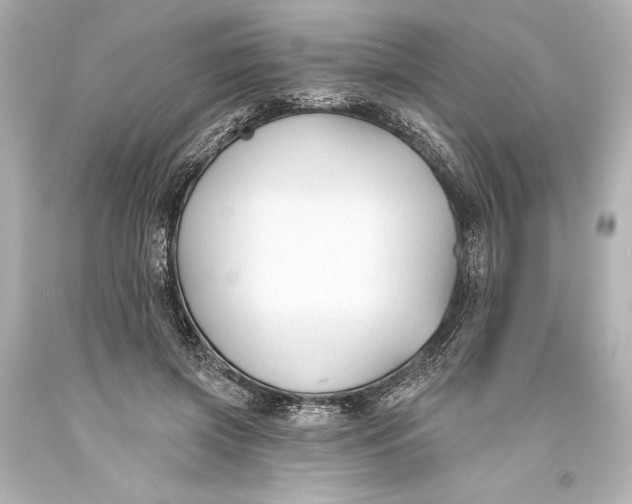 X0000093470549200711021234