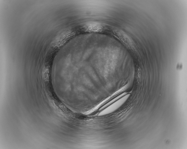 X0000093470551200711021235