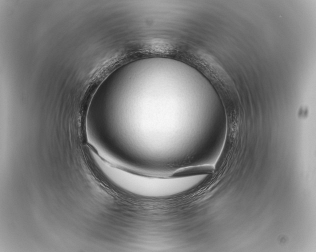 X0000093470552200711021235