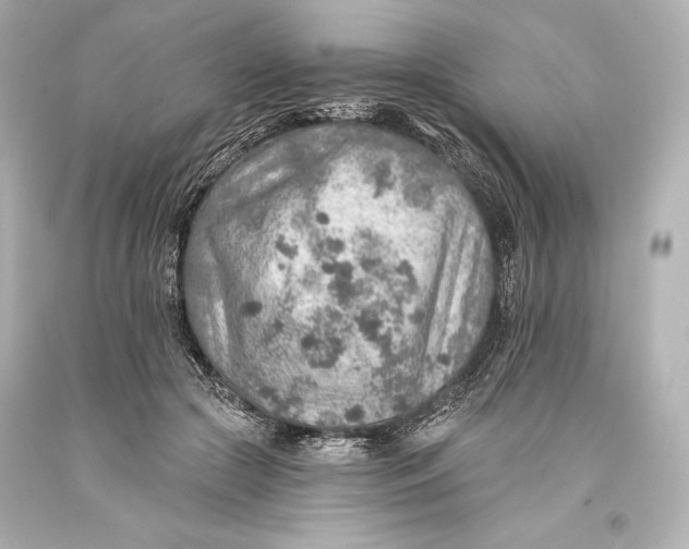 X0000093470553200711021235